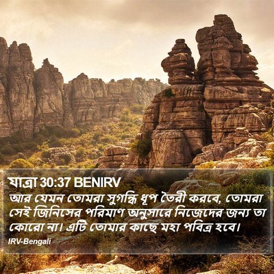 যাত্ৰা 30:37 BENIRV Bible Verse Image