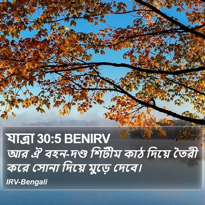 যাত্ৰা 30:5 BENIRV Bible Verse Image