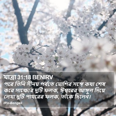 যাত্ৰা 31:18 BENIRV Bible Verse Image