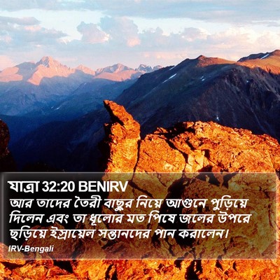 যাত্ৰা 32:20 BENIRV Bible Verse Image