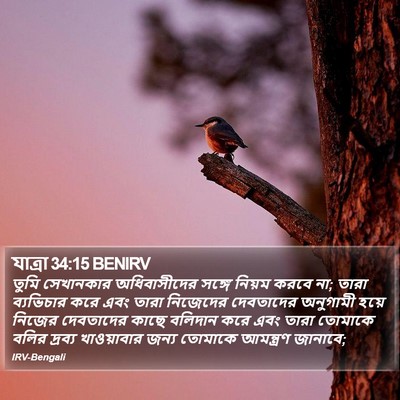 যাত্ৰা 34:15 BENIRV Bible Verse Image