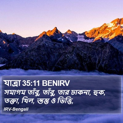যাত্ৰা 35:11 BENIRV Bible Verse Image