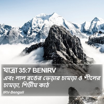 যাত্ৰা 35:7 BENIRV Bible Verse Image