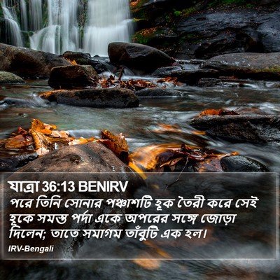 যাত্ৰা 36:13 BENIRV Bible Verse Image