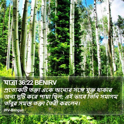 যাত্ৰা 36:22 BENIRV Bible Verse Image