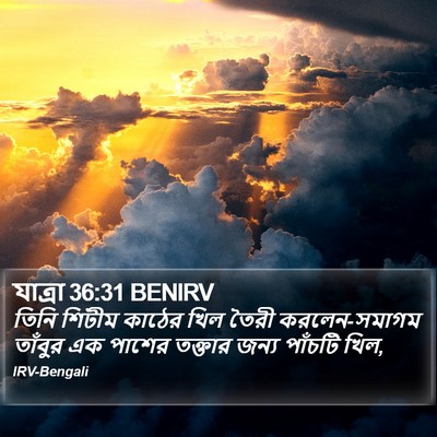 যাত্ৰা 36:31 BENIRV Bible Verse Image