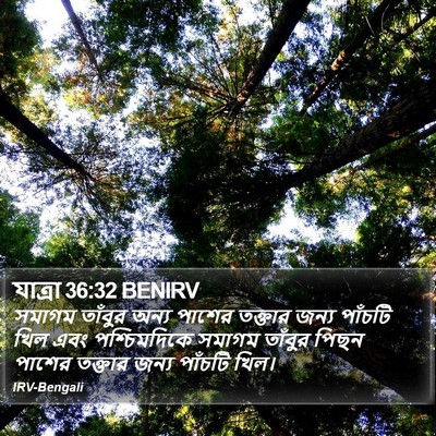 যাত্ৰা 36:32 BENIRV Bible Verse Image