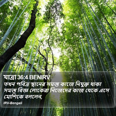 যাত্ৰা 36:4 BENIRV Bible Verse Image
