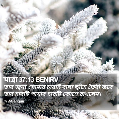 যাত্ৰা 37:13 BENIRV Bible Verse Image
