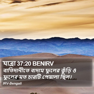 যাত্ৰা 37:20 BENIRV Bible Verse Image