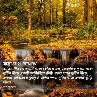 যাত্ৰা 37:21 BENIRV Bible Verse Image