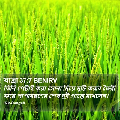 যাত্ৰা 37:7 BENIRV Bible Verse Image