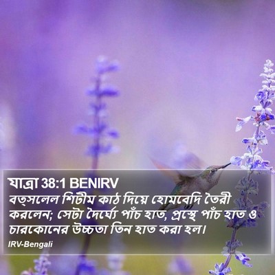 যাত্ৰা 38:1 BENIRV Bible Verse Image