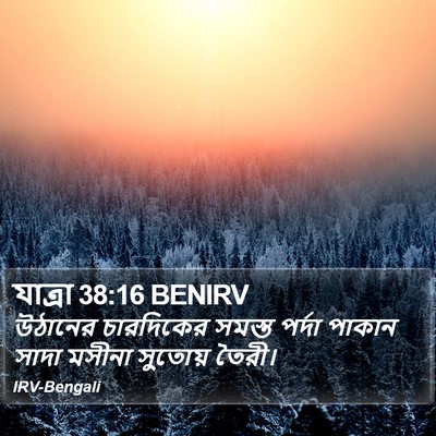 যাত্ৰা 38:16 BENIRV Bible Verse Image