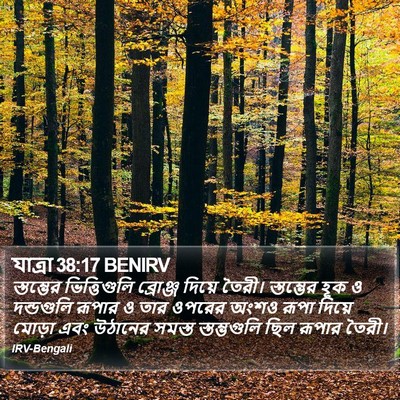 যাত্ৰা 38:17 BENIRV Bible Verse Image