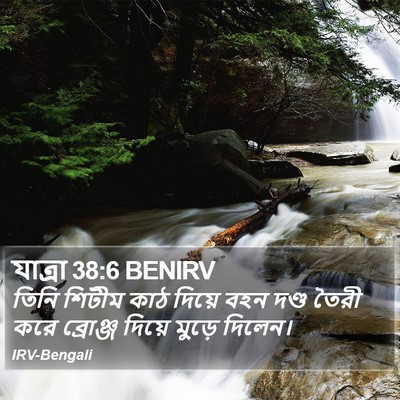 যাত্ৰা 38:6 BENIRV Bible Verse Image
