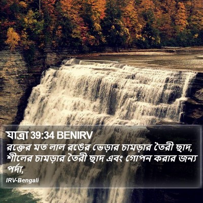 যাত্ৰা 39:34 BENIRV Bible Verse Image