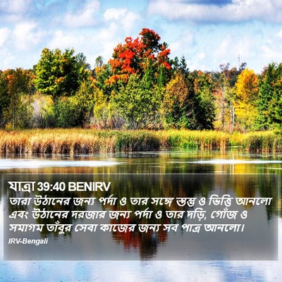 যাত্ৰা 39:40 BENIRV Bible Verse Image