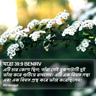 যাত্ৰা 39:9 BENIRV Bible Verse Image