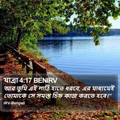 যাত্ৰা 4:17 BENIRV Bible Verse Image