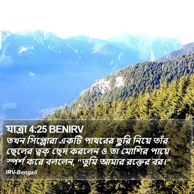 যাত্ৰা 4:25 BENIRV Bible Verse Image