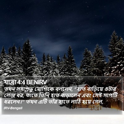যাত্ৰা 4:4 BENIRV Bible Verse Image