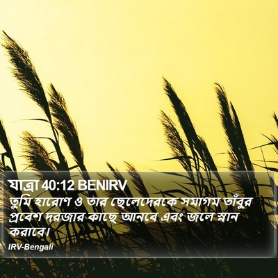 যাত্ৰা 40:12 BENIRV Bible Verse Image
