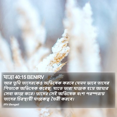 যাত্ৰা 40:15 BENIRV Bible Verse Image