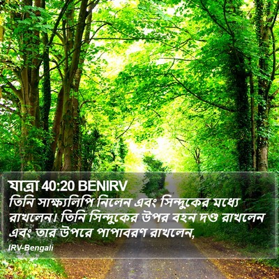 যাত্ৰা 40:20 BENIRV Bible Verse Image