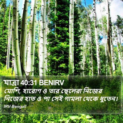 যাত্ৰা 40:31 BENIRV Bible Verse Image