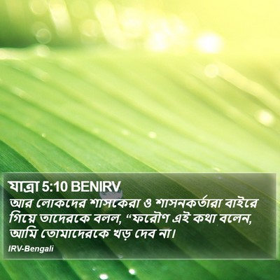 যাত্ৰা 5:10 BENIRV Bible Verse Image