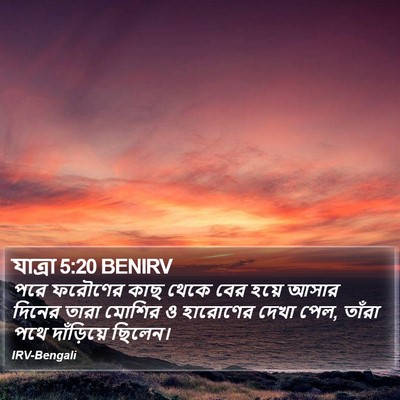 যাত্ৰা 5:20 BENIRV Bible Verse Image