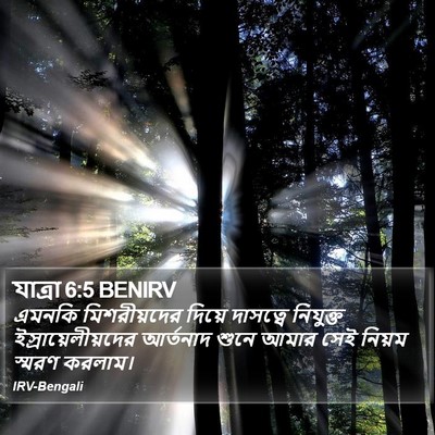 যাত্ৰা 6:5 BENIRV Bible Verse Image
