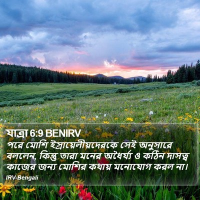 যাত্ৰা 6:9 BENIRV Bible Verse Image