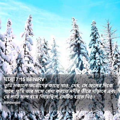 যাত্ৰা 7:15 BENIRV Bible Verse Image