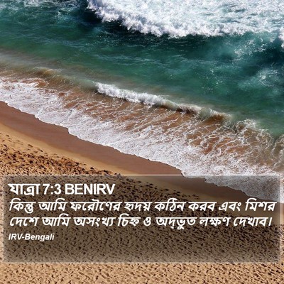 যাত্ৰা 7:3 BENIRV Bible Verse Image