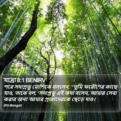 যাত্ৰা 8:1 BENIRV Bible Verse Image