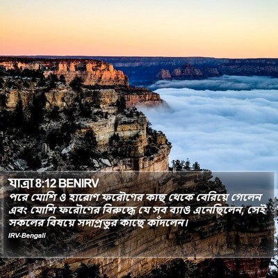 যাত্ৰা 8:12 BENIRV Bible Verse Image