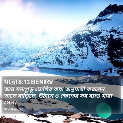 যাত্ৰা 8:13 BENIRV Bible Verse Image