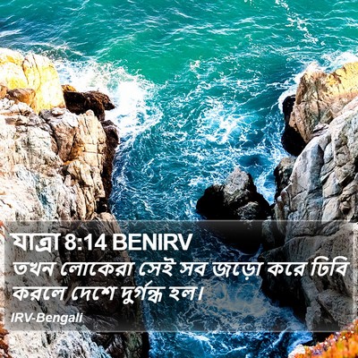 যাত্ৰা 8:14 BENIRV Bible Verse Image