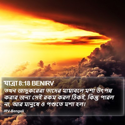 যাত্ৰা 8:18 BENIRV Bible Verse Image