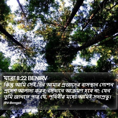 যাত্ৰা 8:22 BENIRV Bible Verse Image