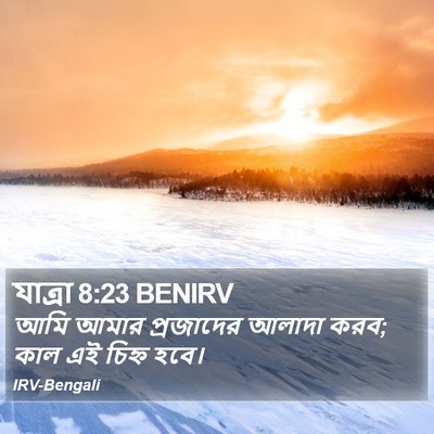 যাত্ৰা 8:23 BENIRV Bible Verse Image
