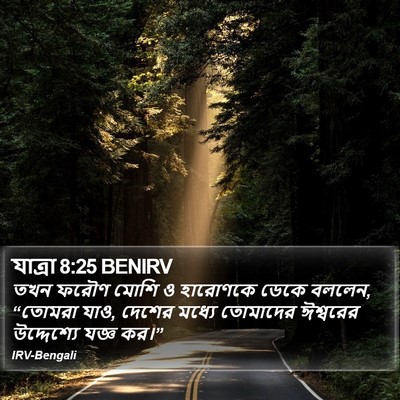 যাত্ৰা 8:25 BENIRV Bible Verse Image