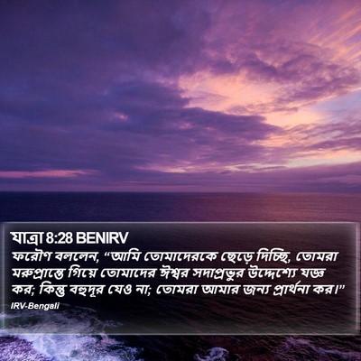 যাত্ৰা 8:28 BENIRV Bible Verse Image