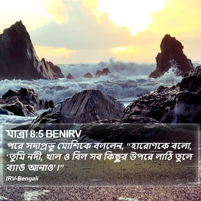 যাত্ৰা 8:5 BENIRV Bible Verse Image
