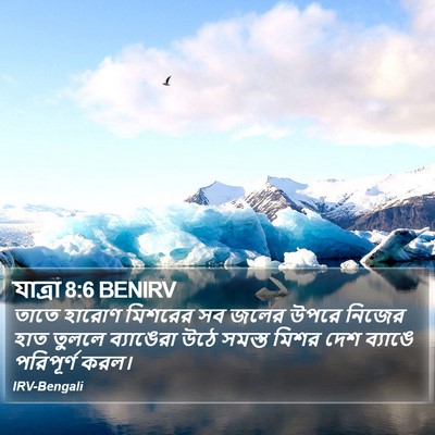 যাত্ৰা 8:6 BENIRV Bible Verse Image