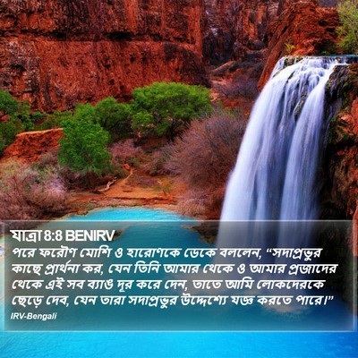 যাত্ৰা 8:8 BENIRV Bible Verse Image