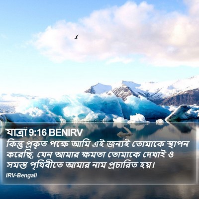 যাত্ৰা 9:16 BENIRV Bible Verse Image
