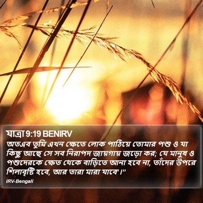 যাত্ৰা 9:19 BENIRV Bible Verse Image